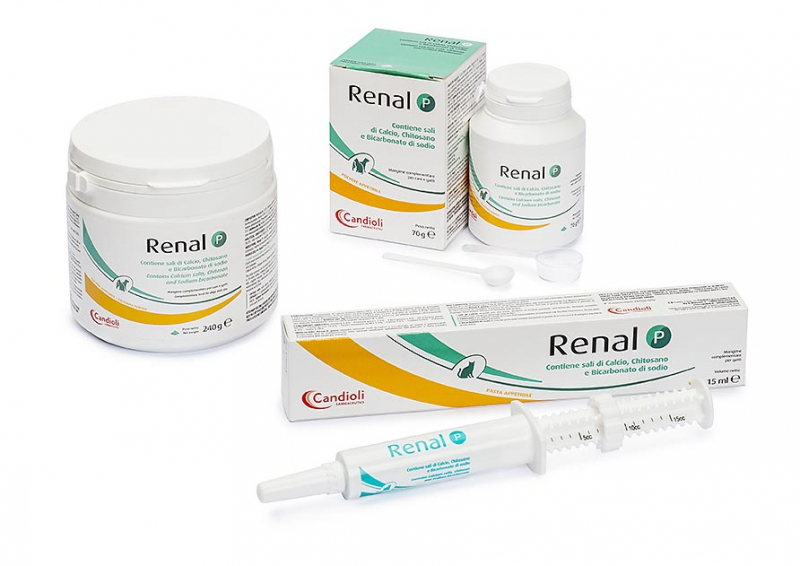 Renal P-image